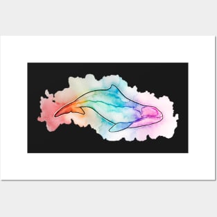 Harbour Porpoise rainbow watercolour Posters and Art